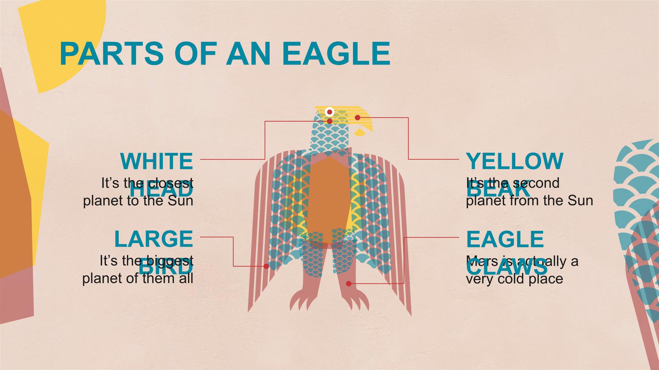 Slide template | Download documents in all fields